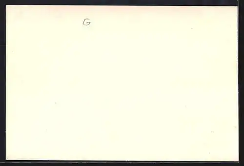 Lithographie Feldberg /Schwarzwald, Gasthaus Feldbergerhof und Alpenpanorama