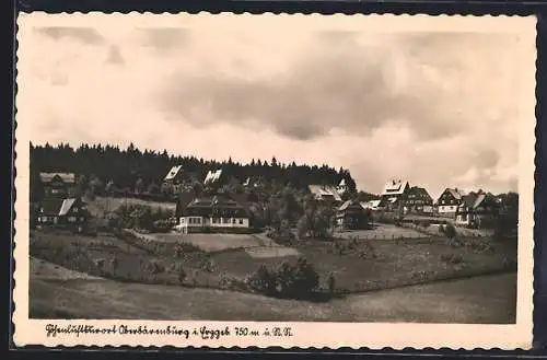 AK Oberbärenburg i. Erzgeb., Blick auf den Ort mit Feldern