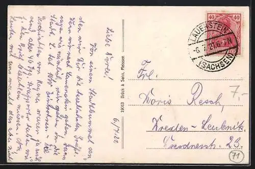 AK Lauenstein i. sächs. Erzgeb., Blick auf den Ort mit Parkanlage und Passanten