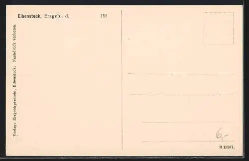 AK Eibenstock i. Erzgeb., Panorama