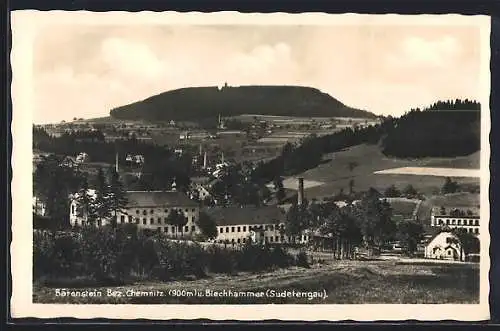 AK Bärenstein /Bez. Chemnitz, Blick auf den Ort und den Blechhammer