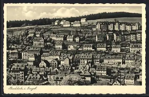 AK Buchholz i. Erzgeb., Blick auf den Ort mit Wald