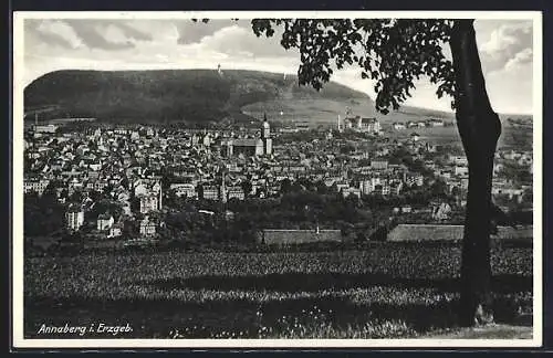 AK Annaberg i. Erzgeb., Blick auf den Ort mit Berg im Hintergrund