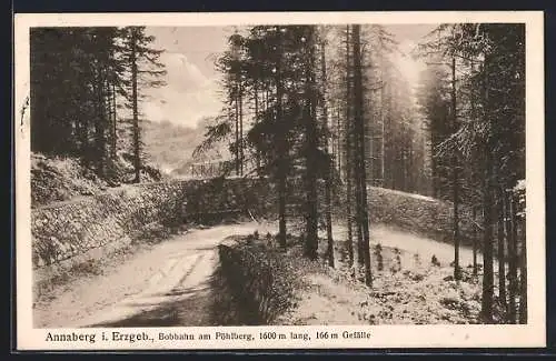 AK Annaberg / Erzgeb., Bobbahn am Pöhlberg