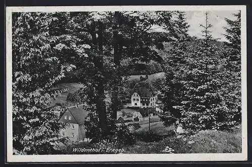AK Wildenthal /i. Erzgeb., Teilansicht durch Bäume