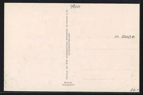 AK Freiburg i. B., Kaiserstrasse mit Geschäften und Strassenbahn