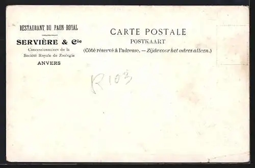 AK Anvers, Restaurant Servière & Cie, Vue dùne partie du resturant sur la terrasse