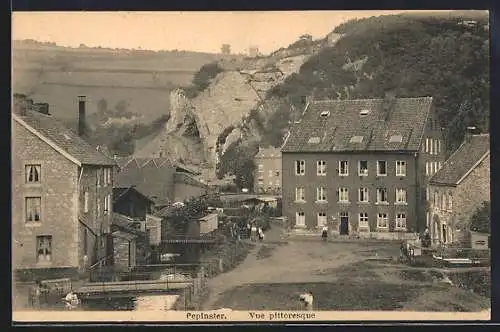 AK Pepinster, Vue pittoresque