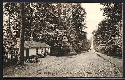 AK Beaumont, La descente du Pont du Prince