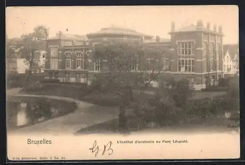 AK Bruxelles, L`institut d`anatomie au Parc Léopold