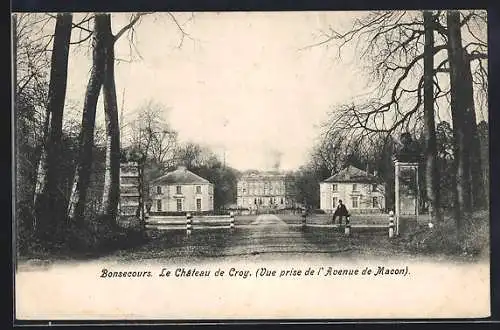 AK Bonsecours, Le Château de Croy, Vue prise de l`Avenue de Macon