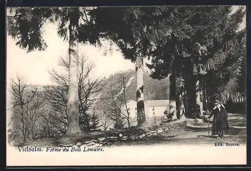 AK Vielsalm, Ferme du Bois Lemaire