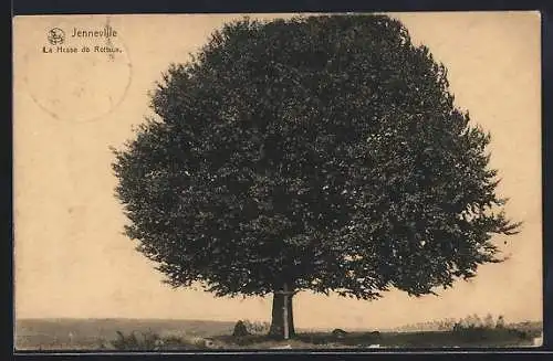 AK Jenneville, La Hesse do Rotteux