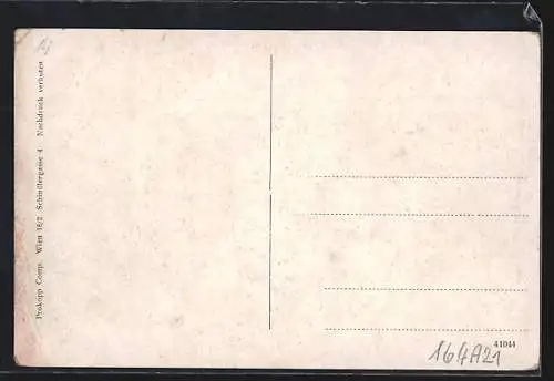 Künstler-AK Enzenreith /N.-Oe., Köttlach, Ortsansicht