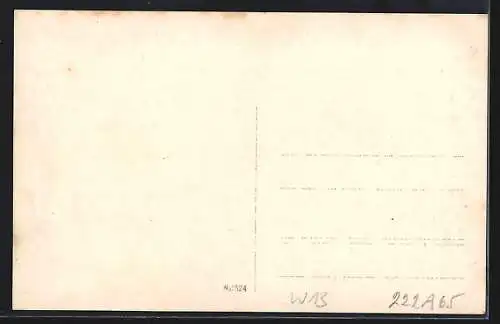 AK Wien, Gasthaus Zur Windmühle, Inh. Karl Heintobler, Aussenansicht, Ansicht des Prachtgartens