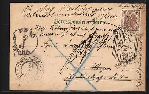 Lithographie Zell a. See, Grand Hotel am See gegen das steinerne Meer, Kitzsteinhorn, Pinzgauer Volkstracht