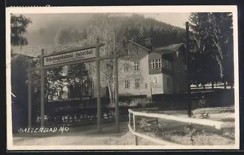 AK Kleinzell /N.-Ö., Erholungskolonie Salzerbad