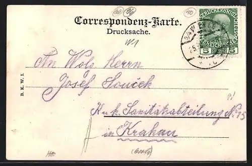 AK Wien, Kärntnerstrasse, Grossbuchstabe D als Rahmen
