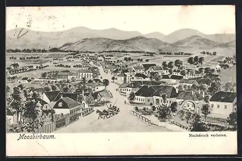 AK Atzenbrugg /N.-Oe., Moosbierbaum, Totalansicht aus der Vogelschau