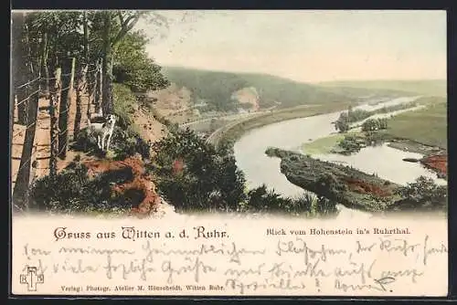 AK Witten a. d. Ruhr, Blick vom Hohenstein ins Ruhrtal