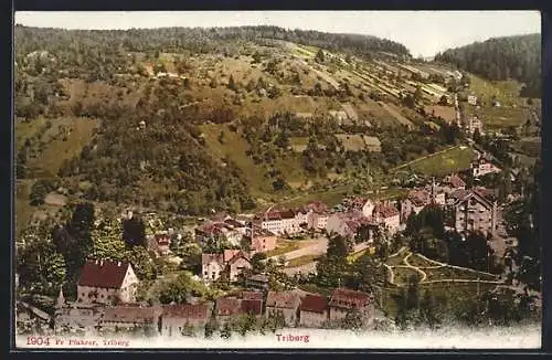 AK Triberg, Teilansicht mit Strassenpartie