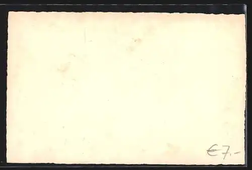 AK Wegscheid, Dorfpartie mit Demelspitze