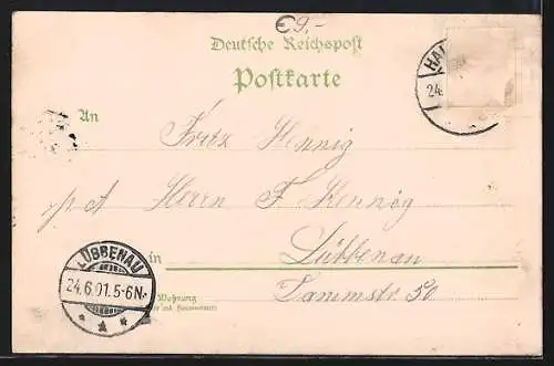 Lithographie Berlin-Halensee, Wirtshaus am Halensee, Tanzsaal