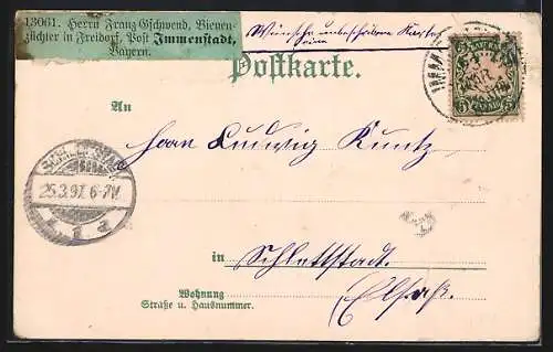 Lithographie Immenstadt, Hotel Friedrichsbad, Maxensruhe, Königsgut