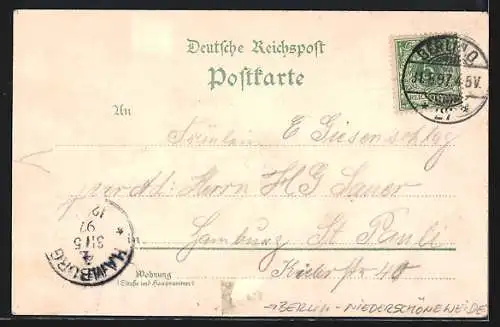 Lithographie Berlin-Niederschöneweide, Gasthaus Neptunshain mit Dampfer