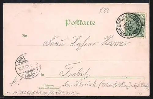 Lithographie Berlin-Köpenick, Hirschgarten, Ortsansicht mit Dampferanlagestelle, Floraplatz, Tanzsaal