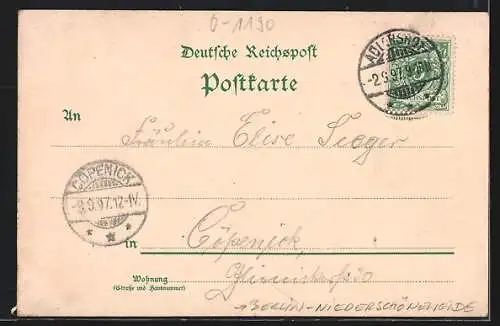 Lithographie Berlin-Oberspree, Restaurant Neptunshain, Dampfer