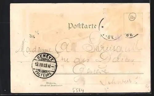 Lithographie Alf a. Mosel, Panorama mit Brücke, Dampfer