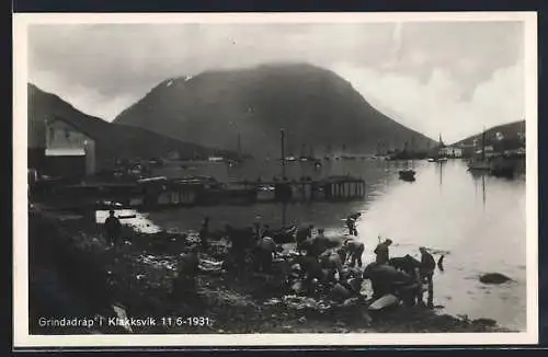 AK Klakksvik /Färöer, Grindarap 1931, Walfang