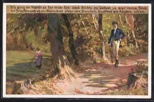Künstler-AK P. Hey, Volksliederkarte Nr.62: Ich ging im Walde so für mich hin