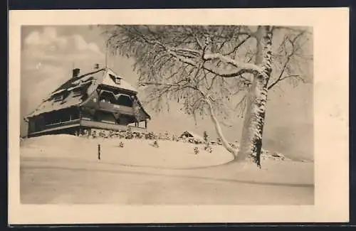 AK Klausen-Leopoldsdorf im Wienerwald, Alpenvereinsheim u. Jugendherberge Ranzenbach im Schnee