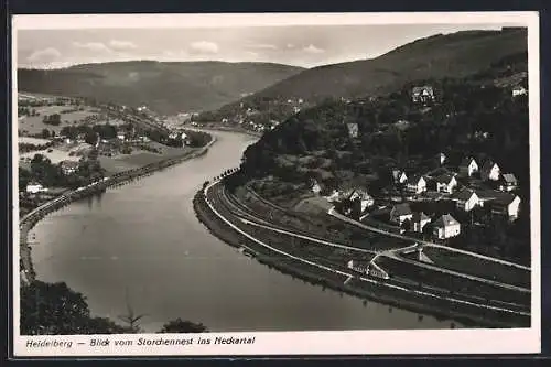 AK Heidelberg, Blick vom Storchennest ins Neckartal