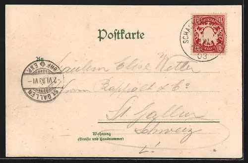 Lithographie Lindau / Bodensee, Hotel Bad Schachen, Dampfer