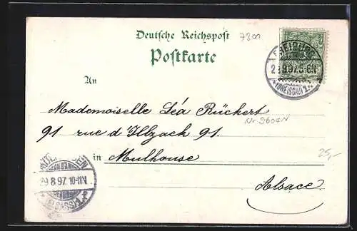 Lithographie Freiburg i. B., Kaufhaus, Alte Universität, Münster