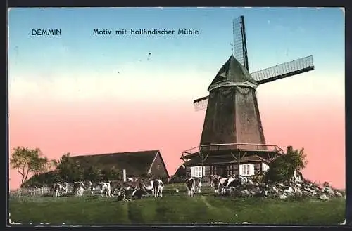 AK Demmin, Motiv mit holländischer Mühle