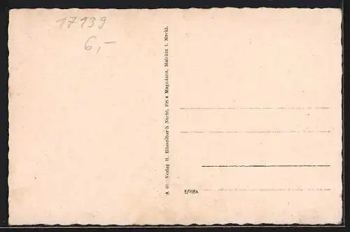 AK Malchin i. Meckl., Post und Kalensches Tor