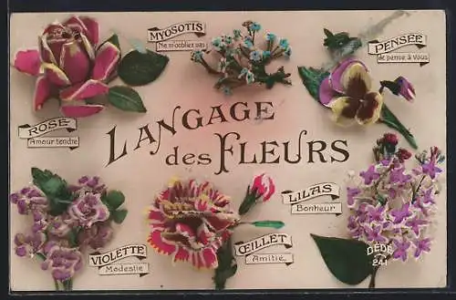 AK Langage des Fleurs, Blumensprache