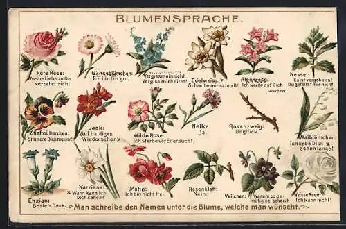 AK Blumen und ihre Bedeutung, Blumensprache