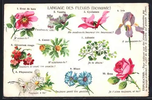 AK Langage des Fleurs-Demande, Blumensprache