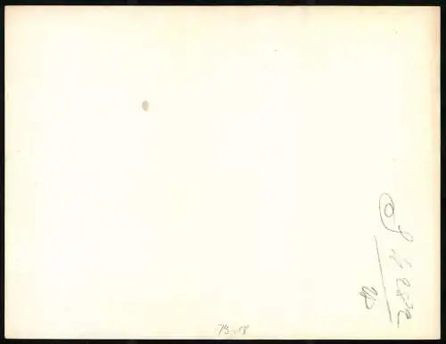 Fotografie englische Soldaten durchkämmen zerbombtes Gebiet / Schützengraben und sammeln Trümmer