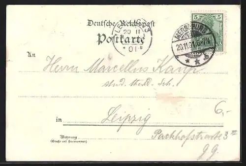AK Merseburg, Schlosshof mit Grünanlagen, Krähe mit Goldring