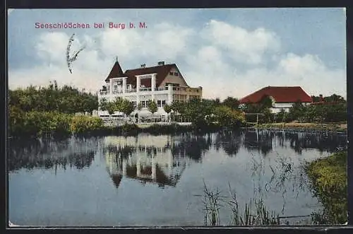 AK Burg / Magdeburg, Seeschlösschen, Blick über das Wasser