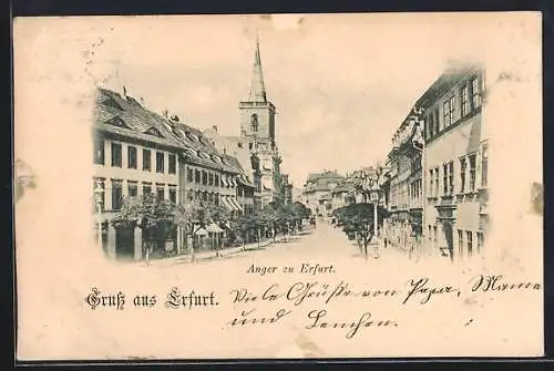 AK Erfurt, Anger mit Bäumen