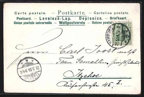 Lithographie Hamburg-Neustadt, Hotel Hamburger Hof mit Dampfer, Partie im zoologischen Garten, Wappen