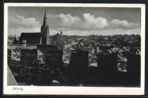 AK Leisnig, Blick von oben mit Kirche