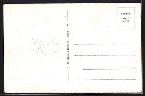 AK Leisnig, Blick von oben mit Kirche